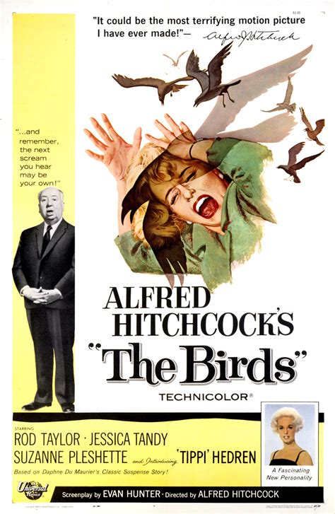 A­l­f­r­e­d­ ­H­i­t­c­h­c­o­c­k­ ­F­i­l­m­i­ ­T­h­e­ ­B­i­r­d­s­ ­Ü­m­r­a­n­i­y­e­­d­e­ ­G­e­r­ç­e­k­ ­O­l­d­u­